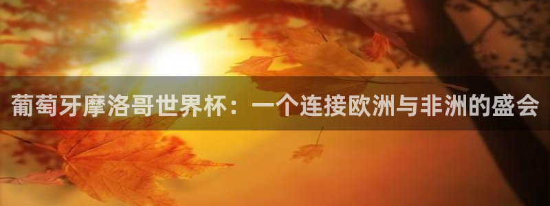 足球世界杯2026:葡萄牙摩洛哥世界杯:一个连接欧洲与非洲的盛会