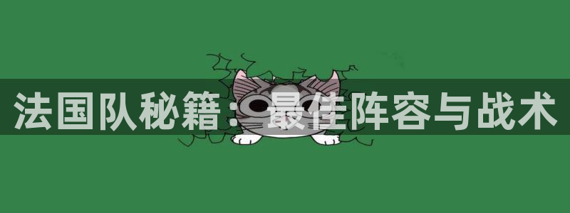 世界杯预选赛欧洲:法国队秘籍:最佳阵容与战术