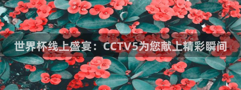 2006年世界杯冠军:世界杯线上盛宴:CCTV5为您献上精彩瞬间